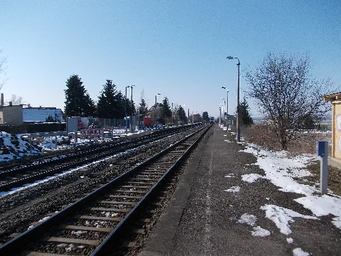 Großdalzighp