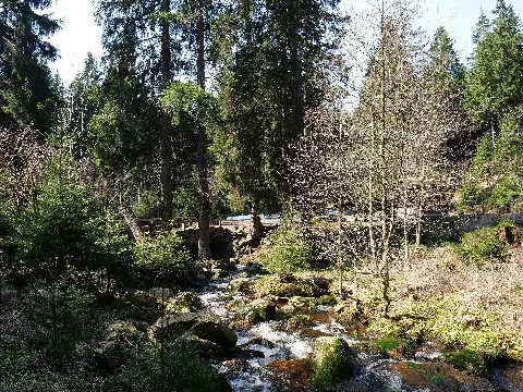 Große Bode 06