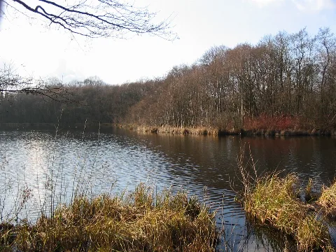 Grosse Karausche Schwerin