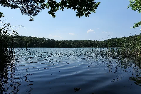 Großer Boberowsee 2021 06 17 07