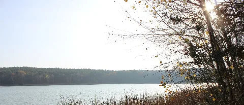 Großer Kolpiner See Im Herbst