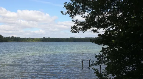 Großer Pätschsee B. Zislow Img 6294 2