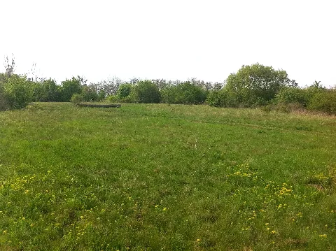 Großer Riesenberg Gipfelfläche