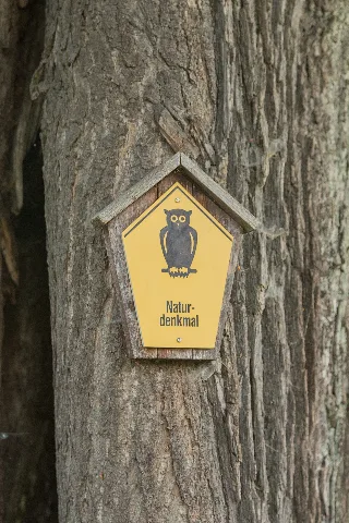 Natural monument sign at Lime Tree Avenue (Lindenallee) in Großhennersdorf, district of Herrnhut, Landkreis Görlitz, Saxony, Germany. The avenue is a designated natural monument.