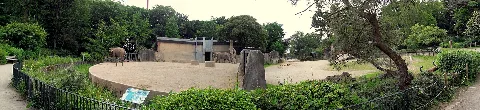 Grosstiere