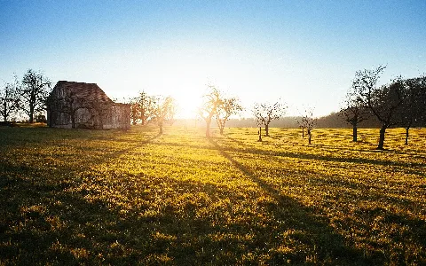 Grovesunrise(Byphilippreiner)