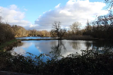 Grube Amalienhöhe Bruchgelände Waldalgesheim