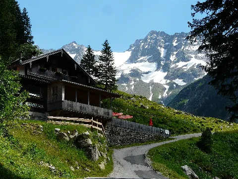 Grüne Wand Hütte
