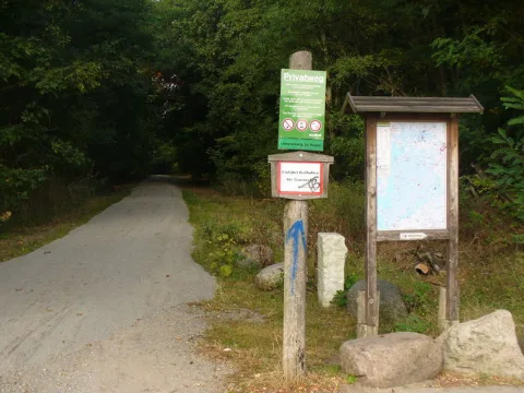 Gruenewald Grosser Stern Geo.hlipp.de 28458