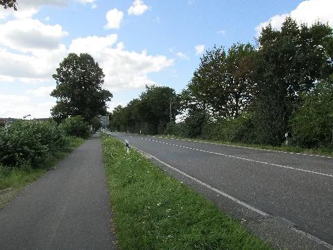 Dürerstraße