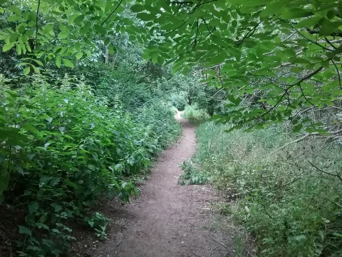 Grünfläche Um Die Kaulsdorfer Seen (10)
