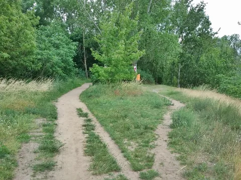 Grünfläche Um Die Kaulsdorfer Seen (11)