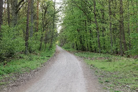 Grunewald 2021 05 10 89