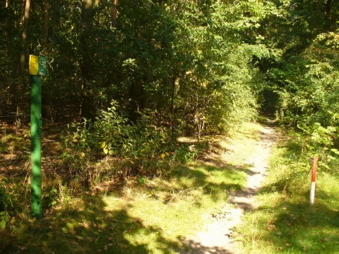 Grunewald Gaslinie Geo.hlipp.de 28461