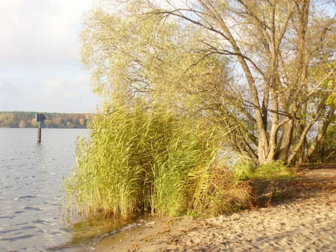 Grunewald Strandbad Am Havelufer (Bathing Beach On The Banks Of The Havel) Geo.hlipp.de 30281