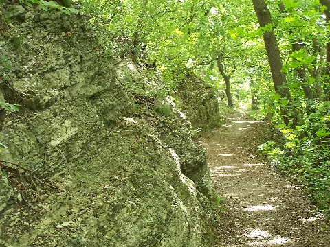 Gth Baldrichstein 06