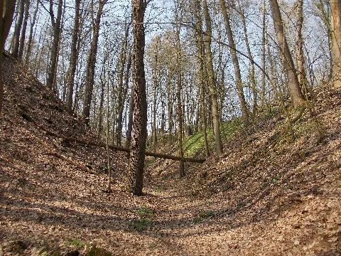 Guckenschlucht