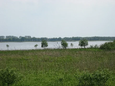 Gülper See 29 05 2010 7598