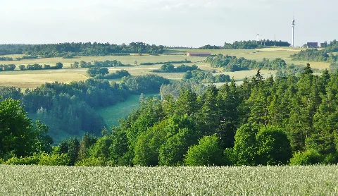 Gültlinger Und Holzbronner Heiden Panoramio