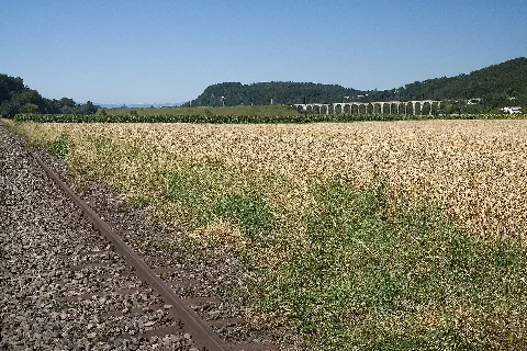 Guemmenen Viadukt Sensetalbahn