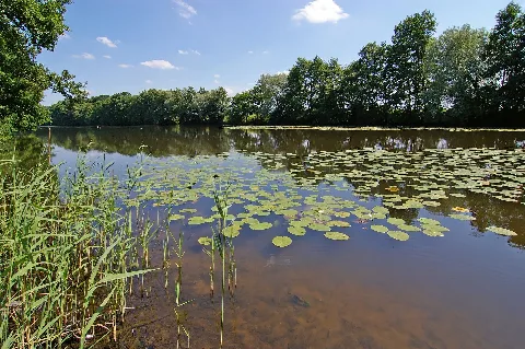 Guemsersee1