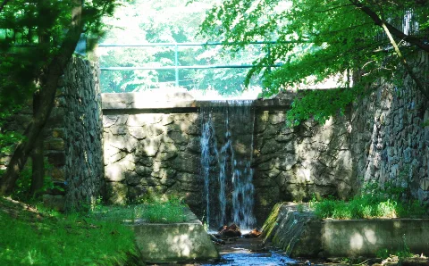 Guentherz 2013 06 08 0320 Wien13 Lainzerbach Lainzer Teich