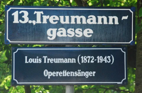 Guentherz 2013 06 08 0335 Wien13 Strassentafel Treumanngasse