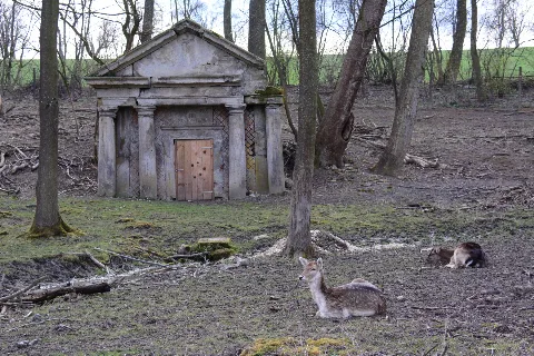 Guentherz 2015 04 04 (95) Doerfles Wildpark Ernstbrunn