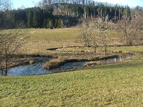 Günz6