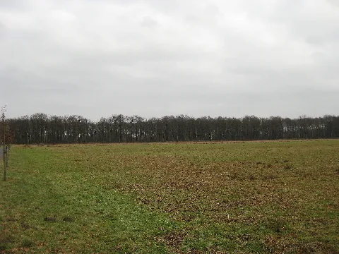 Gütersloh Spexard (Naturschutzgebiet)
