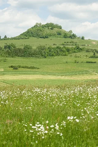 Gunningen 5773 Iridientedit