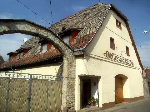 Guntersblum Ölmühlstraße Polyscher Hof Ehemaliges Kino 25.3.2010