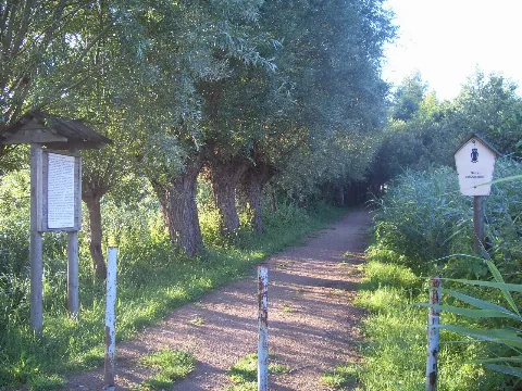 Gut Moor479