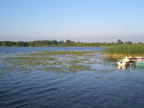 Gut Moor483