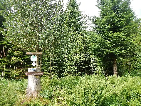 Guterbrunnenweg Panoramio
