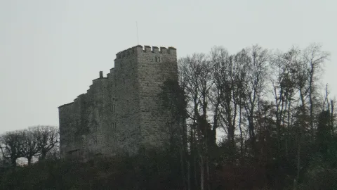 Habsburg