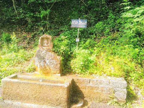 Leimengrube