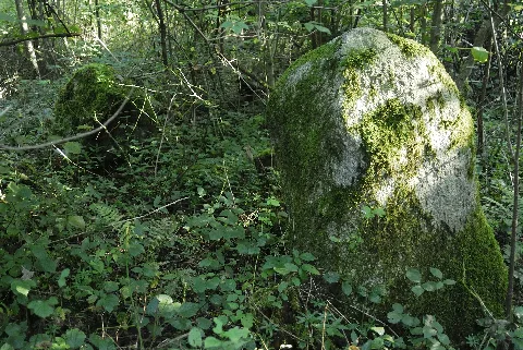 Häslerhau 7 Swg0016