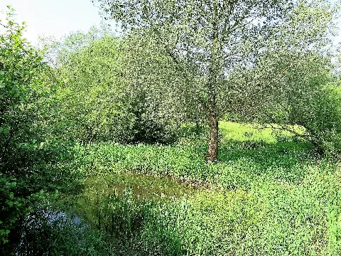 Hagen Nsg Lenneaue Berchum