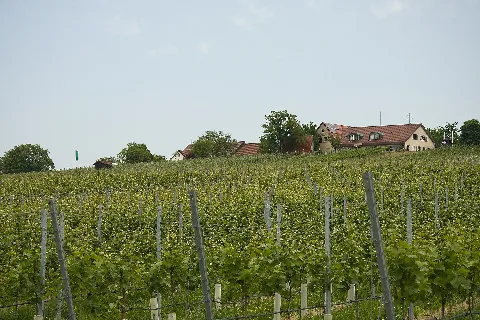 Haigern