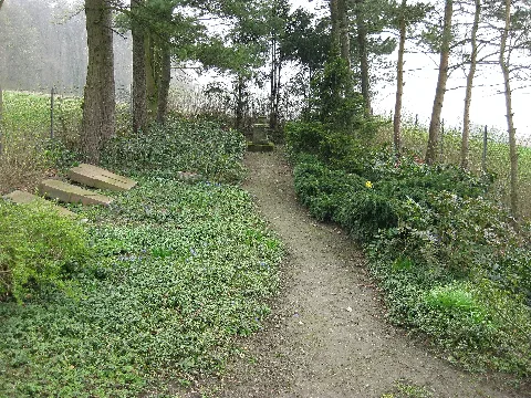 Halle (Westf.) Waldgrab Potthoff