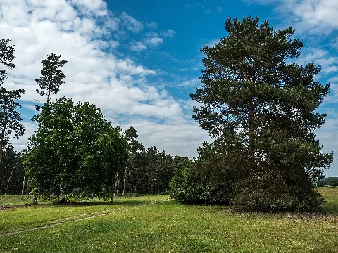 Hallstadt Börstig P5284929
