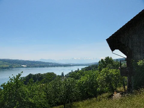 Halwiler See01