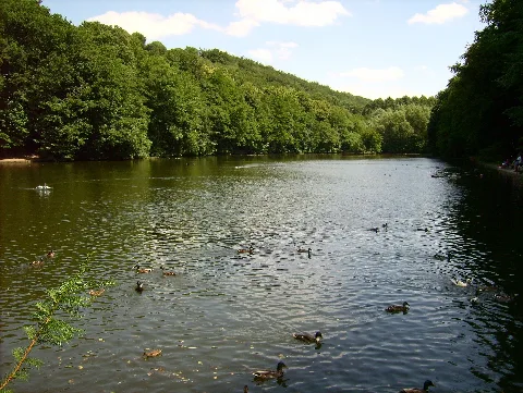 Hammerteich