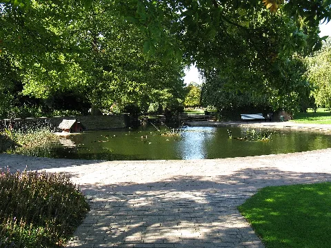 Hannover Stadthallengarten Spätsommer1