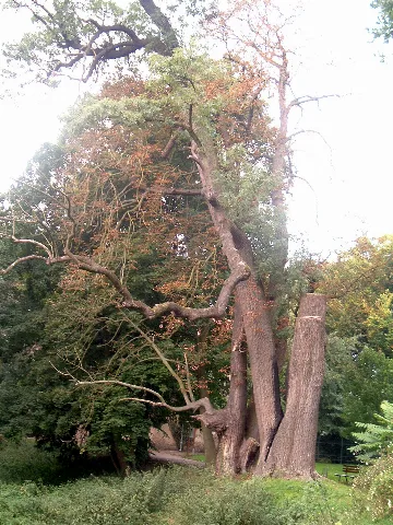 Harbke Forst Schlosspark Panoramio