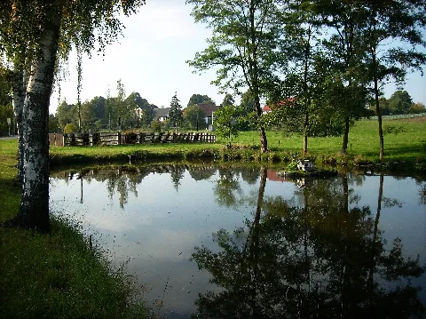 Harthauteich