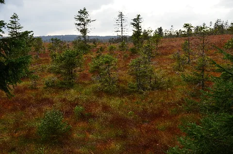Harz Bodebruch Sept 2016 Dsc 0775