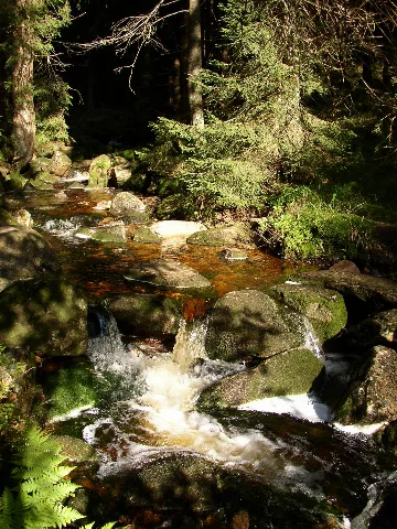 Harz Schwarzes Schluftwasser