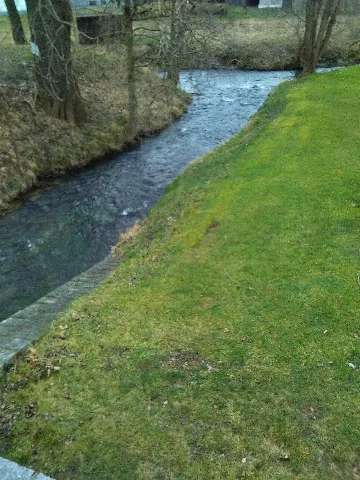 Haselbach Mündung In Die Pulsniz